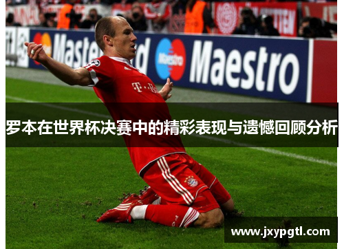 罗本在世界杯决赛中的精彩表现与遗憾回顾分析