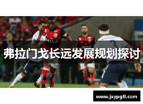 弗拉门戈长远发展规划探讨